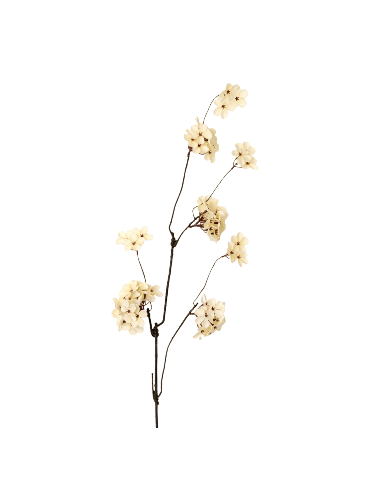 Pear Blossom Branch L