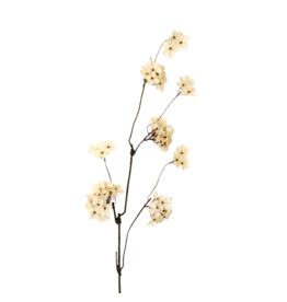 Pear Blossom Branch L