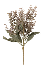 Primrue Eucalyptus Spray