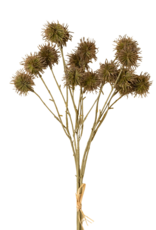 Chestnut Ball Bouquet, Purple Green