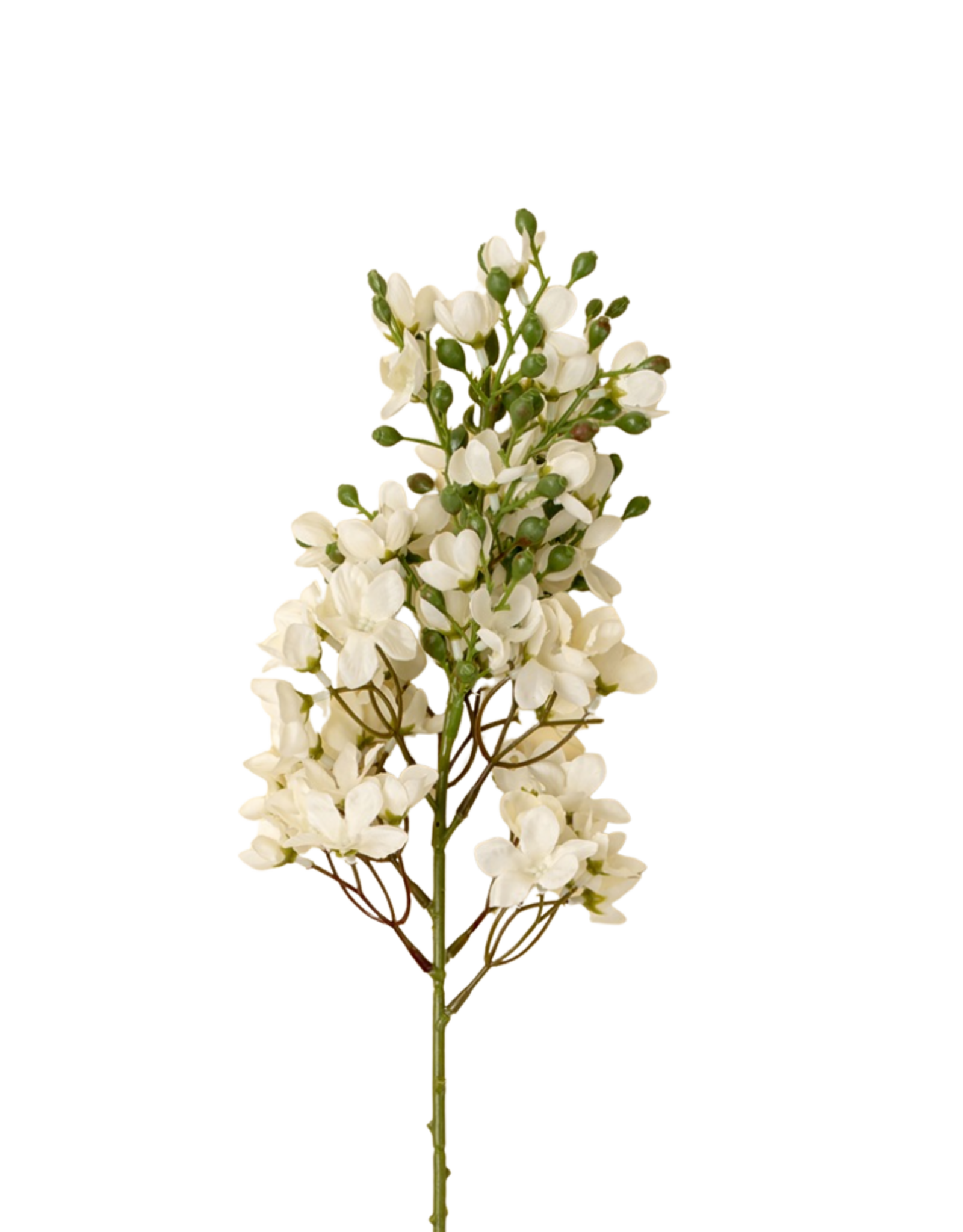 Delphinium Floral Stem, White
