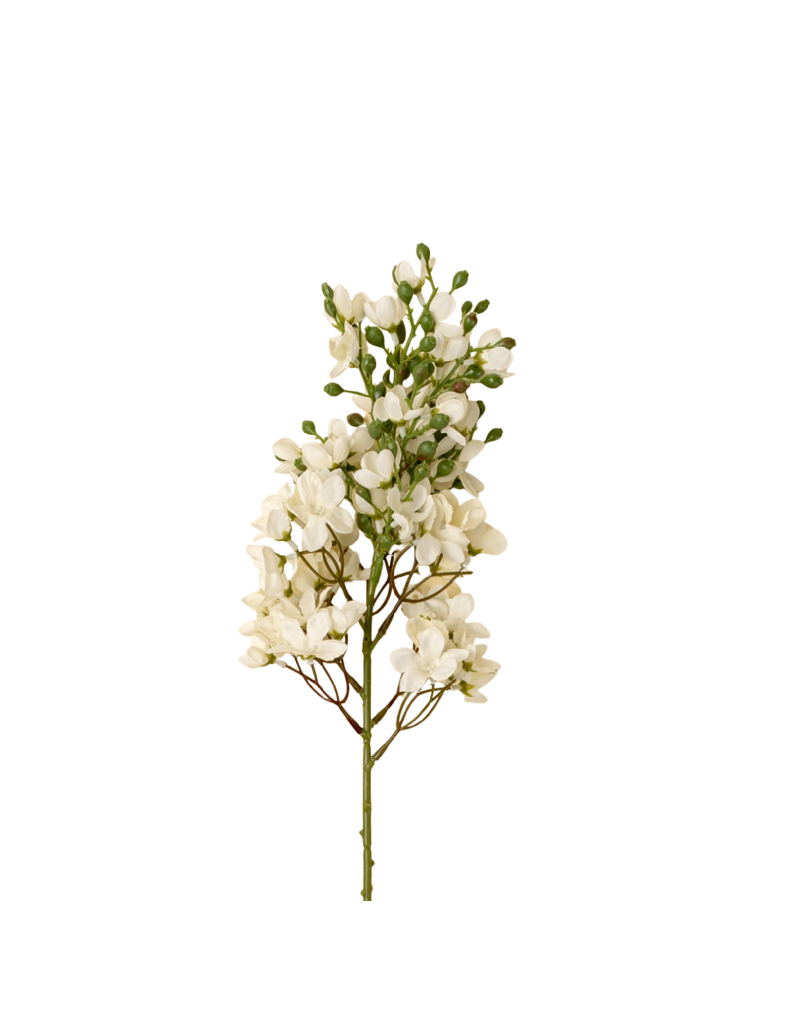 Delphinium Floral Stem, White