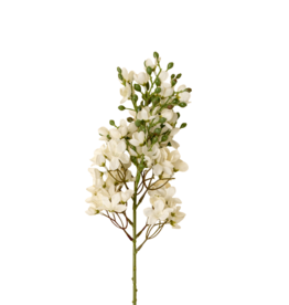 Delphinium Floral Stem, White