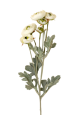 Ranunculus Spray, White