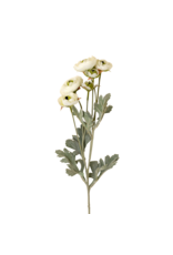 Ranunculus Spray, White