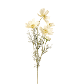 White Cosmos Spray