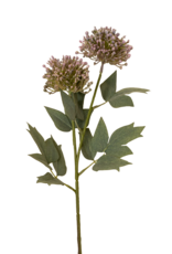 Sedum Spray, Purple