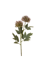 Sedum Spray, Purple