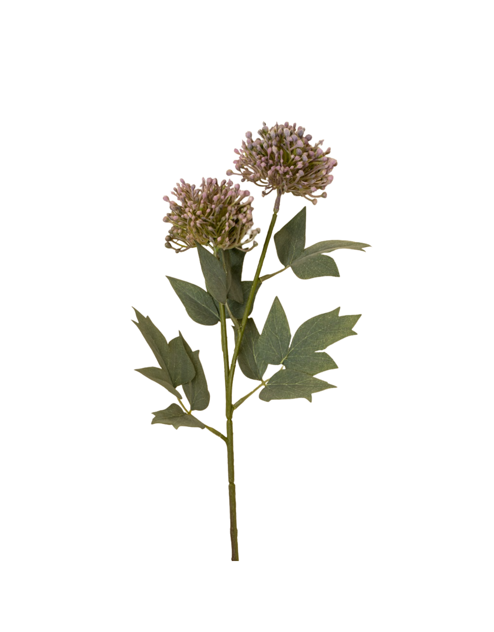 Sedum Spray, Purple