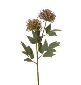 Sedum Spray, Purple