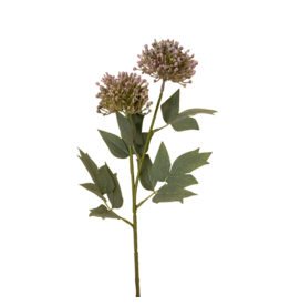 Sedum Spray, Purple
