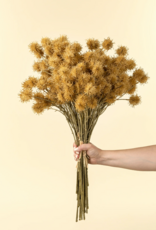 Chestnut Ball Bouquet, Light Brown