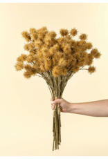 Chestnut Ball Bouquet, Light Brown