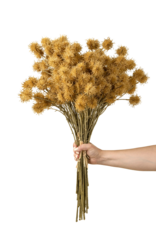 Chestnut Ball Bouquet, Light Brown