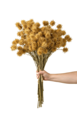 Chestnut Ball Bouquet, Light Brown