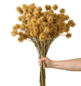 Chestnut Ball Bouquet, Light Brown