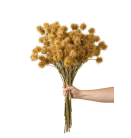 Chestnut Ball Bouquet, Light Brown