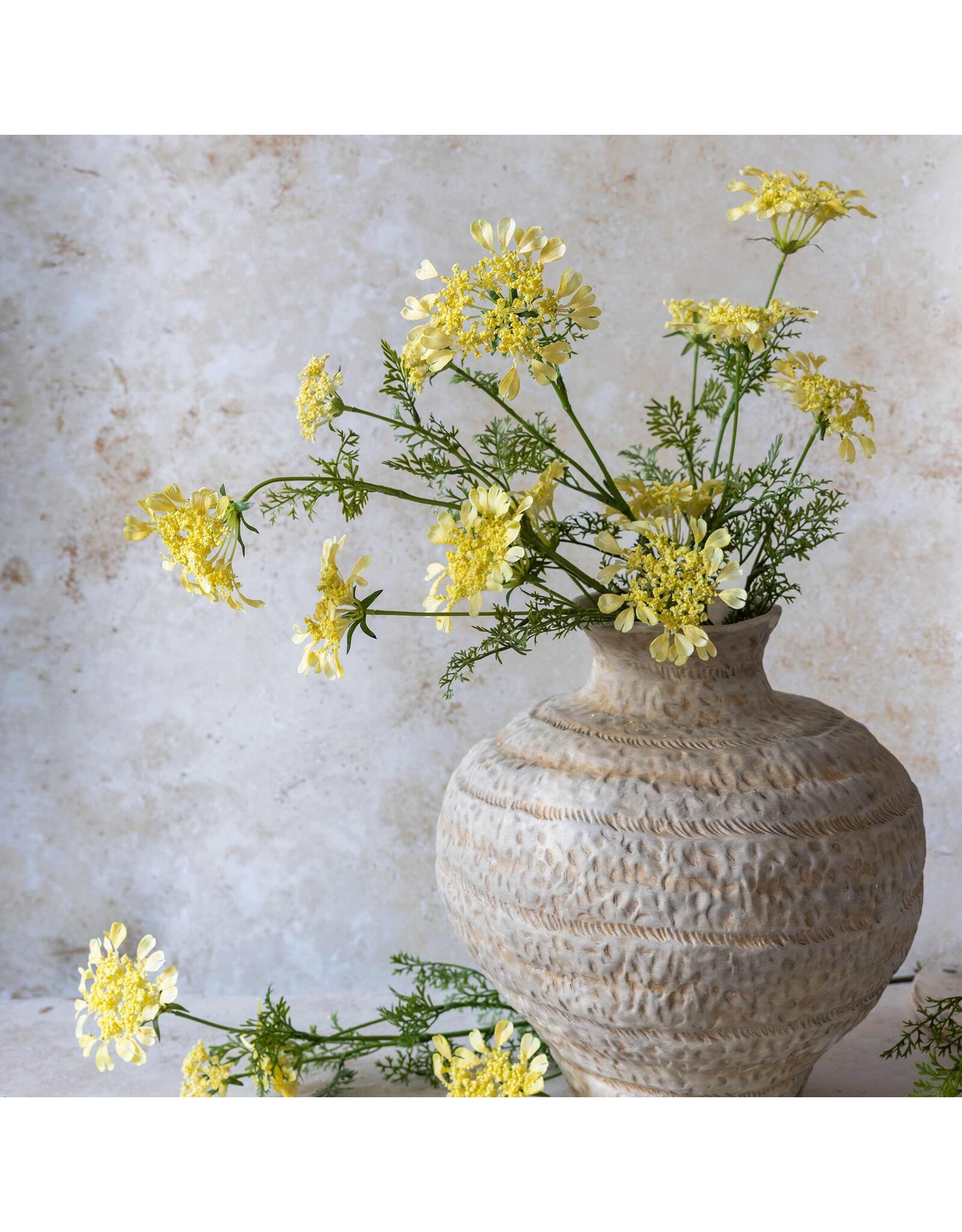 Wild Dill