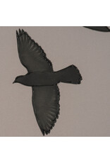 Flock I Art, 61.5L x 1.6W x 41.5H