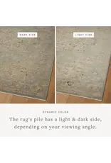 Briar Rug - BRR-01 Sky / Moss