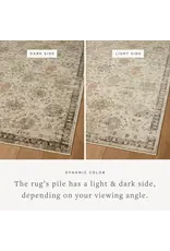 Briar Rug - BRR-04 Ivory/Multi
