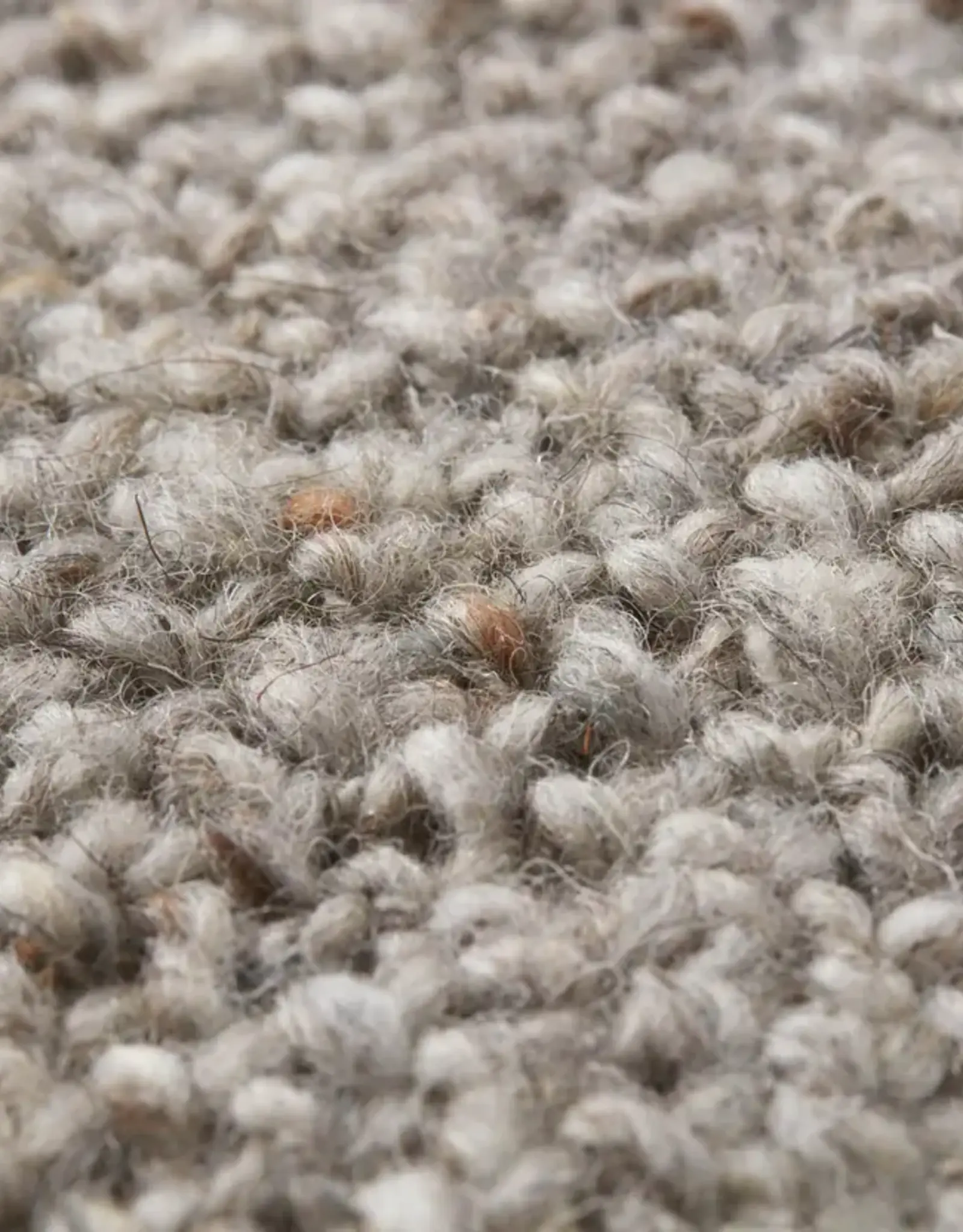 Loloi Pillow - Beige