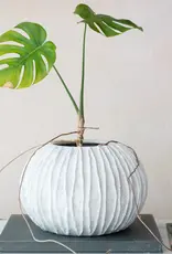 Textured Composite Resin Planter/Vase, Antique White