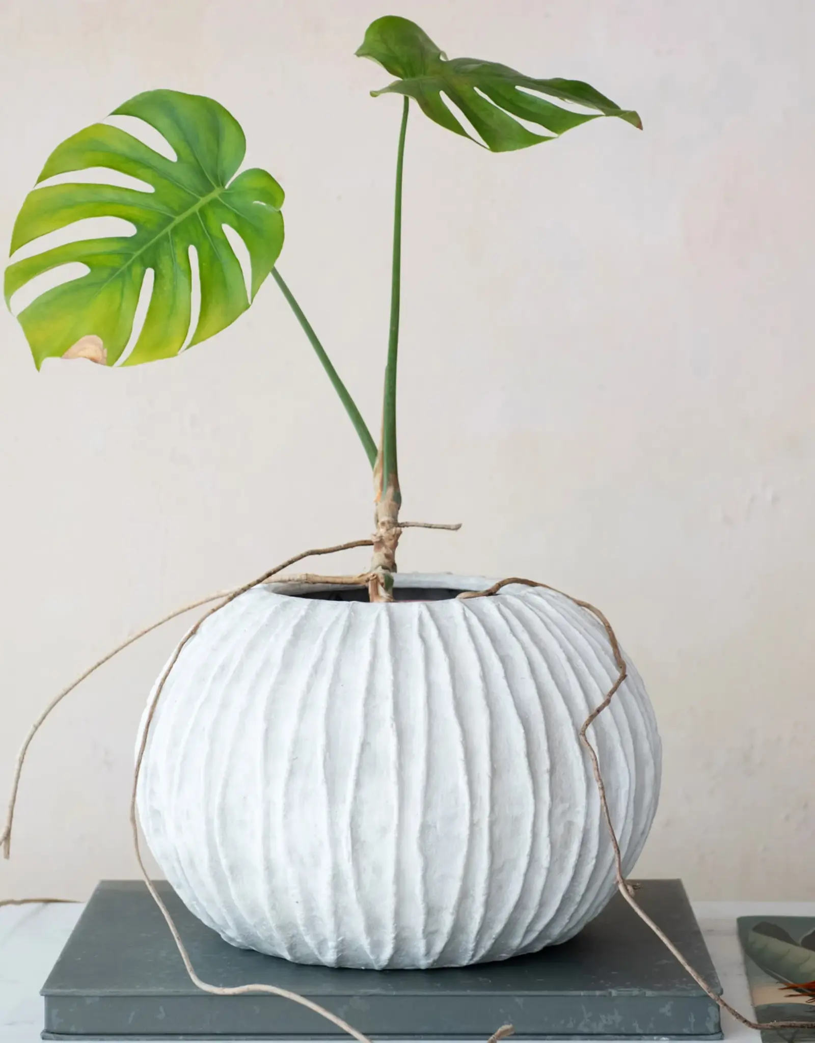 Textured Composite Resin Planter/Vase, Antique White