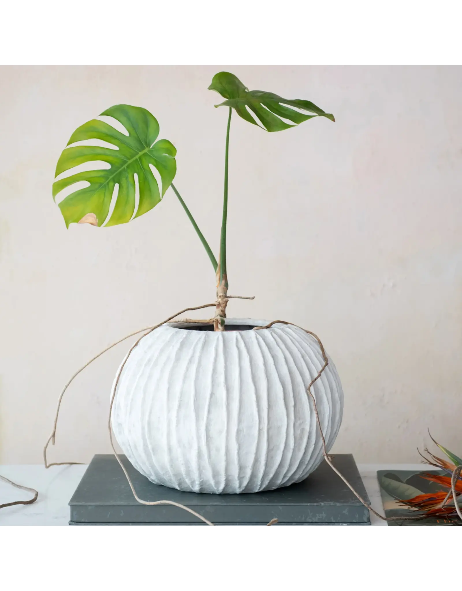 Textured Composite Resin Planter/Vase, Antique White