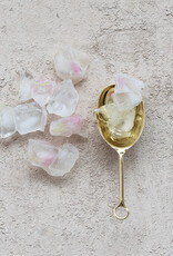 7"L Stainless Steel Scoop, Gold Finish