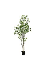 Faux Pieris Tree 8'