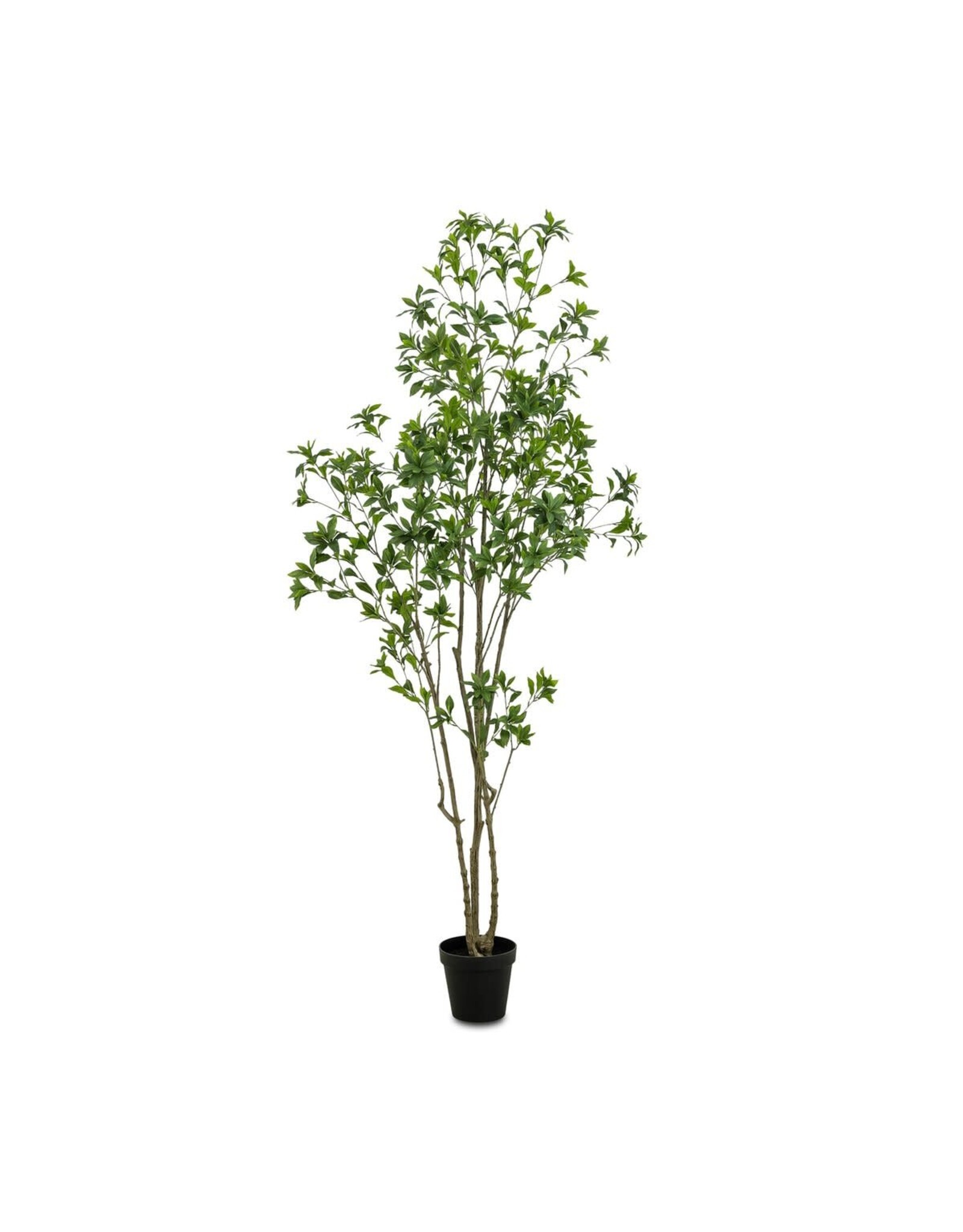 Faux Pieris Tree 8'