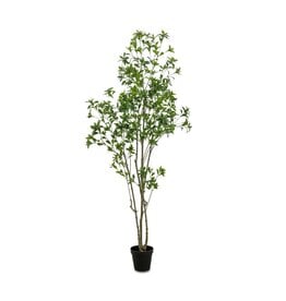 Faux Pieris Tree 8'