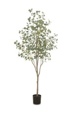 Faux Eucalyptus Tree 7'