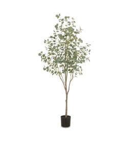 Faux Eucalyptus Tree 7'