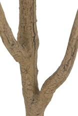 Faux Eucalyptus Tree 7'