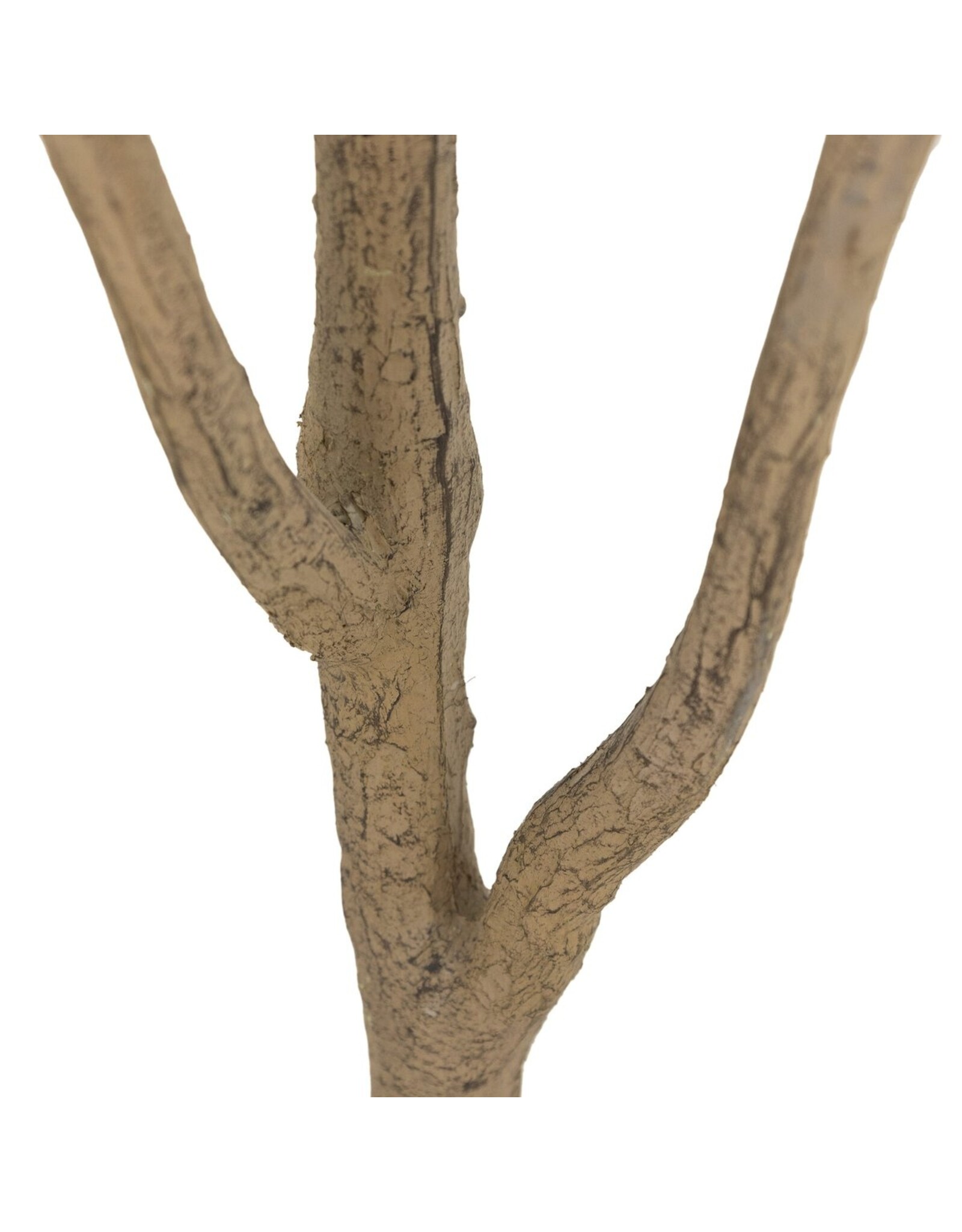 Faux Eucalyptus Tree 7'