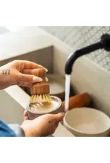 Solid Dish Soap | Refill