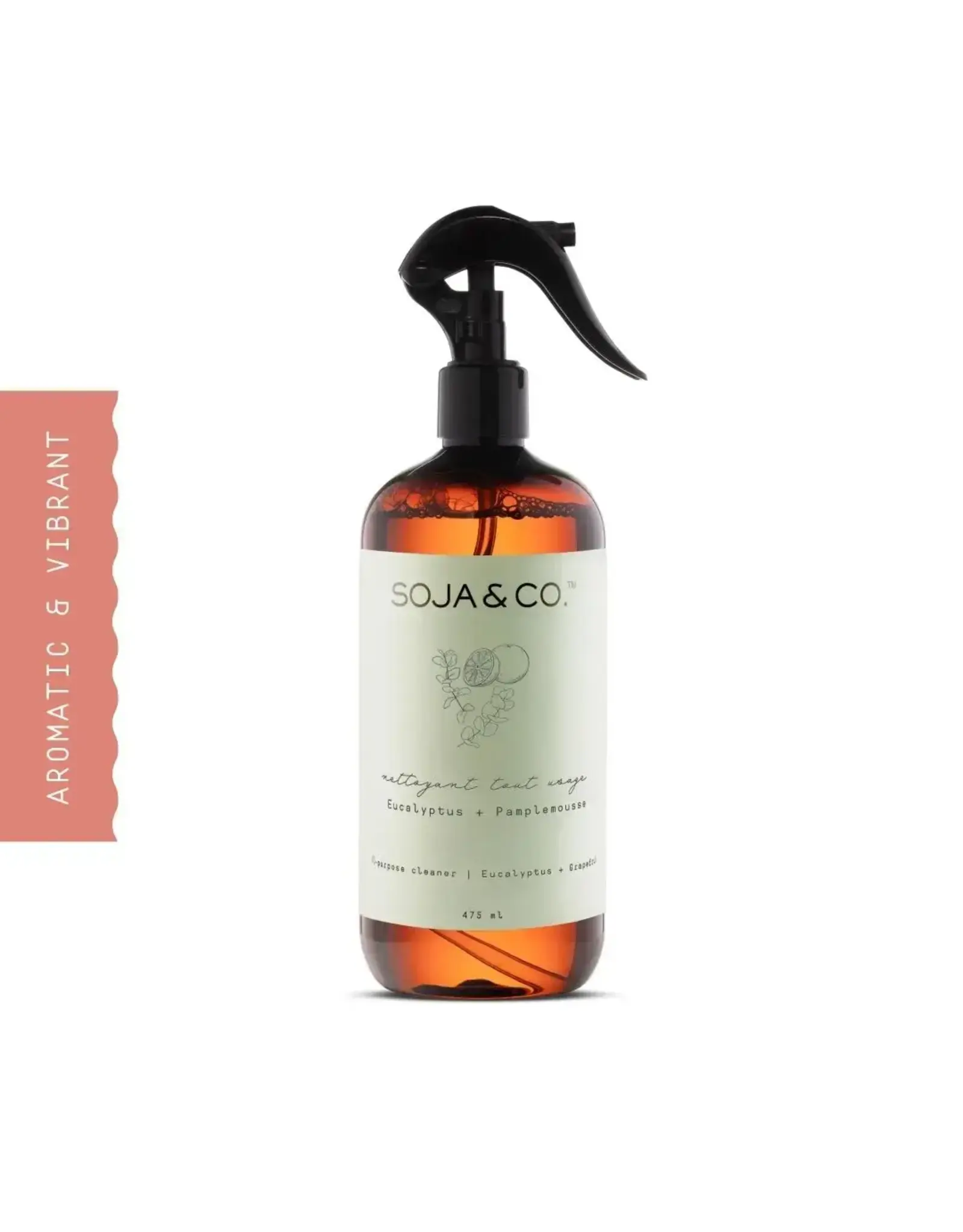 All Purpose Cleaner
