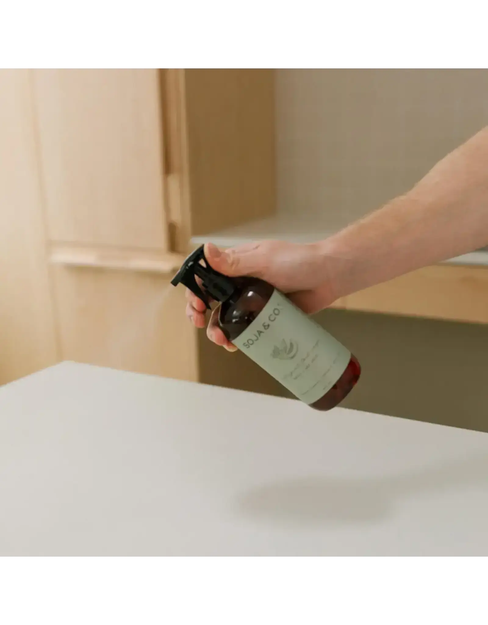 All Purpose Cleaner
