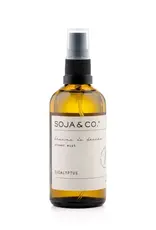 Shower Mist | Eucalyptus