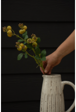 Rosehip Branch
