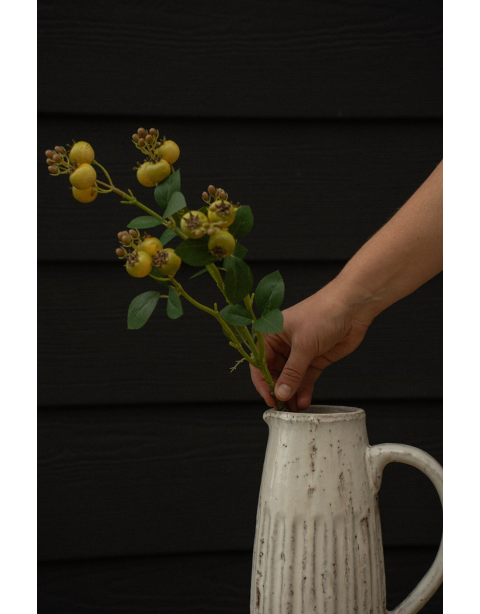 Rosehip Branch