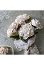 Peony Evening Dew