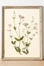 Wildflower Vintage Art