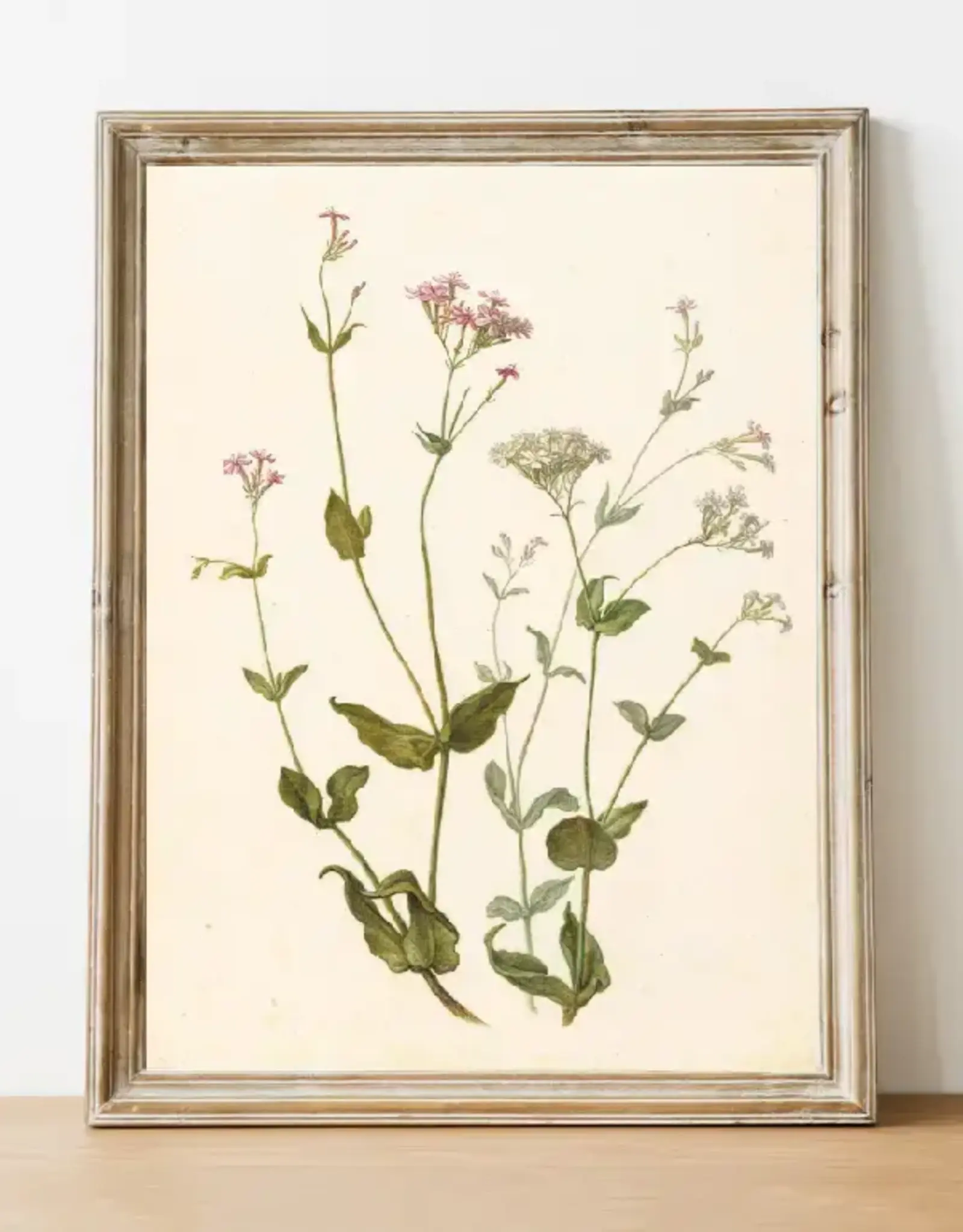 Wildflower Vintage Art