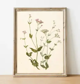 Wildflower Vintage Art
