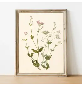 Wildflower Vintage Art