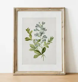 Vintage Botanical Art Print