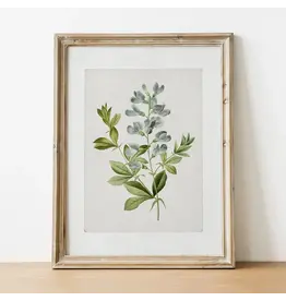 Vintage Botanical Art Print